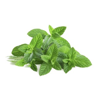 French Basil Oil