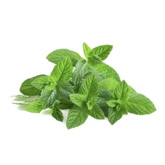 French Basil Oil