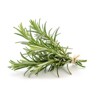 Rosemary oil